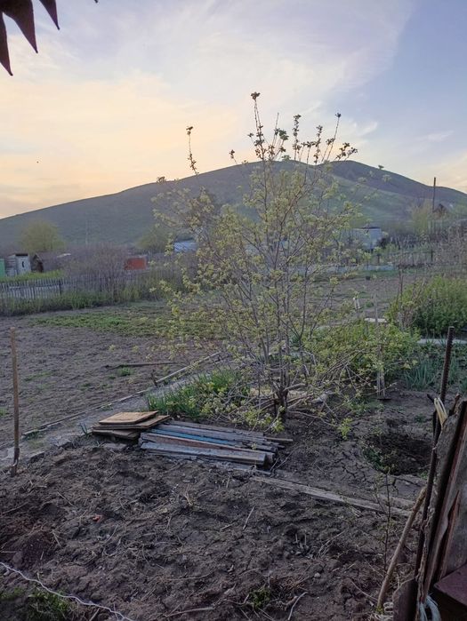 Продаю срочно дачу!