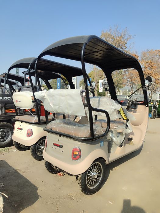 Электронный Трицикл Frd