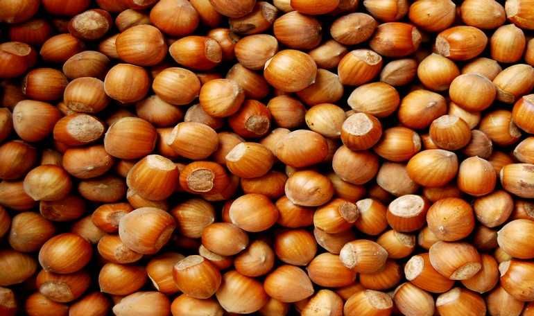 Разсад лешници - Римски, Ран Трапезундски