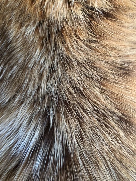 Продам куртку-шубу