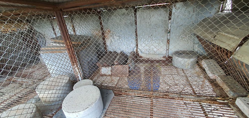 Зайчарници с.Скутаре Пловдивско