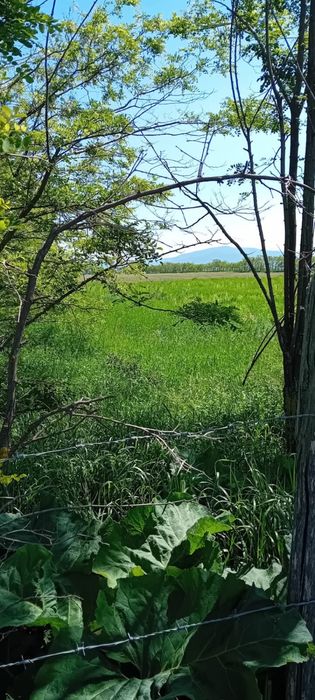 Se vinde teren cu balastieră autorizată!