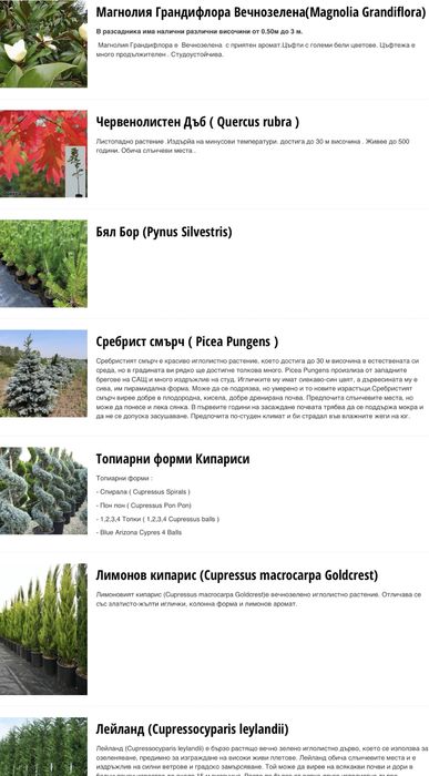 Разсадник Монтана : дървета дръвчета овошки фиданки за озеленяване