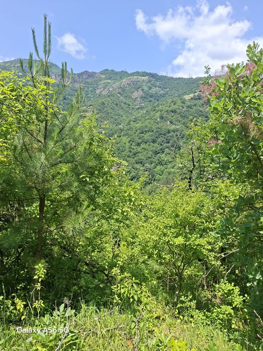 Продава се Къща в с. Гара Лакатник, Област София-област - 30 кв.м за 834 €/кв.м - Снимка #14