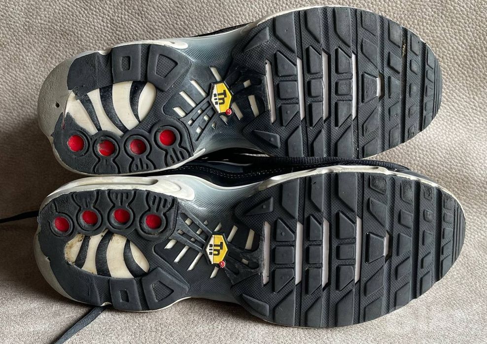 Оригинальные кроссовки Nike Air Max Plus TN