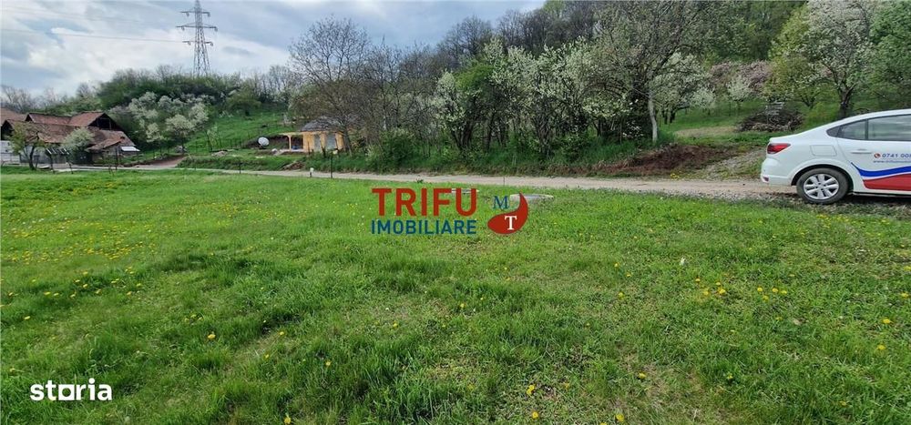 Teren de vis la liziera pădurii – liniște, natură și aer curat!