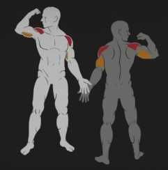 Раменна Преса – Shoulder Press IF9312 / Фитнес Оборудване