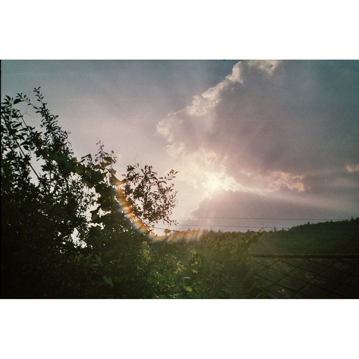 Aparat foto Kodak Pro-Star 100 - ca nou