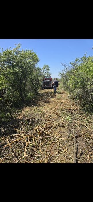 Închiriez utilaje Curățire terenuri de ambrozie,  vegetație