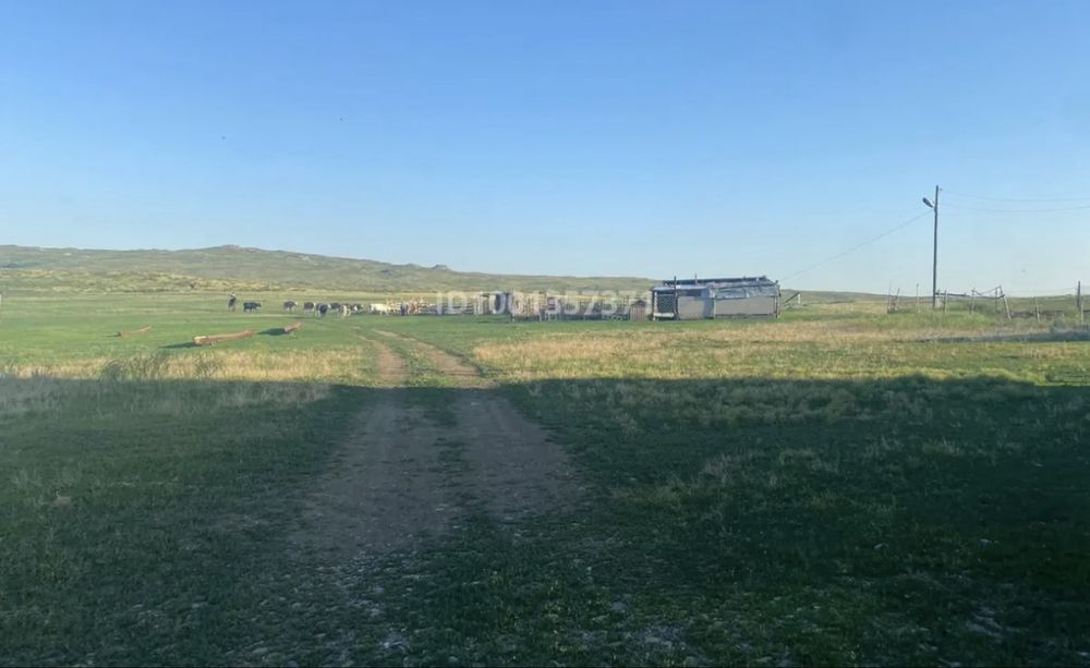 Продам крестьянское хозяйство