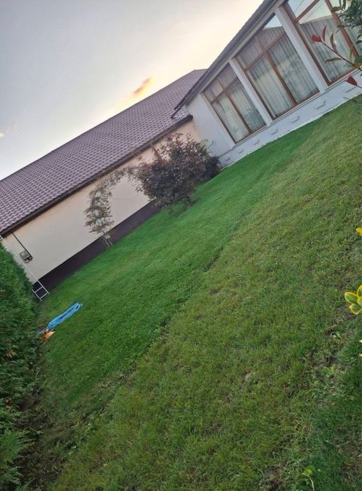 Amenajari si intretinere Spati Verzi