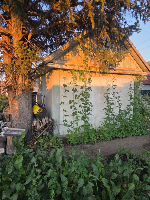 продам дачу в СТ Титан (п.Новая Согра)