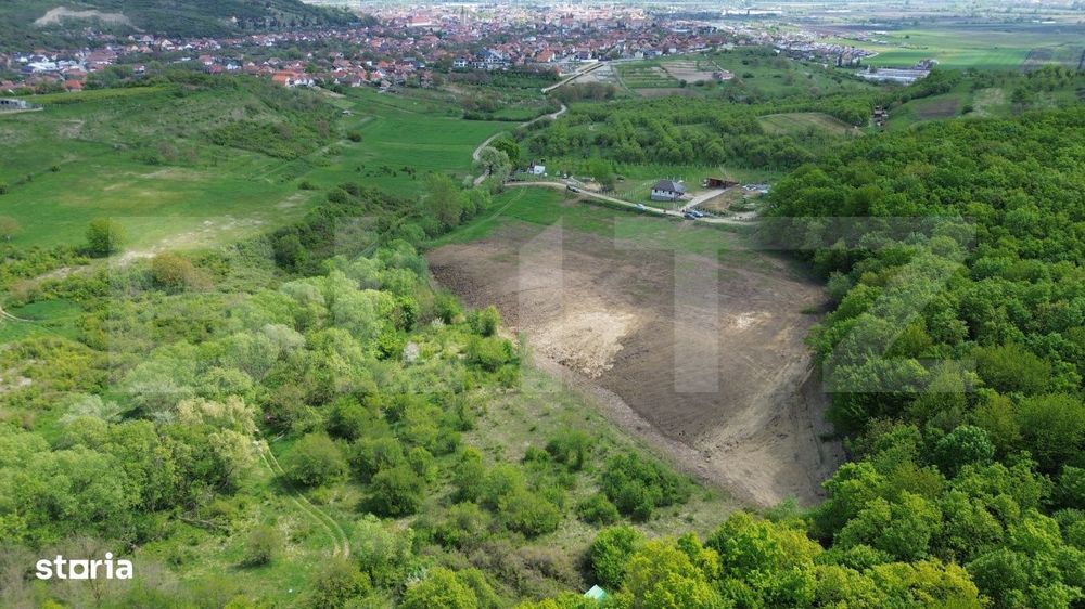 Teren 15.100 mp la baza padurii – ideal parcelare | 14 loturi | priv