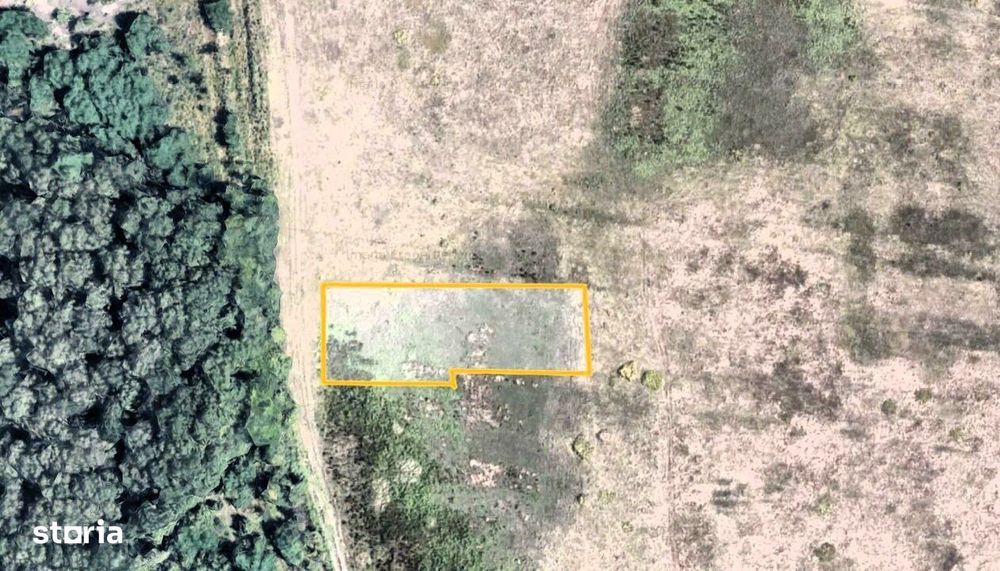 Teren Voluntari Padurea Baneasa