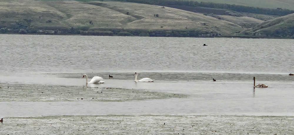 vand teren pretabil pensiune casa de vacanta