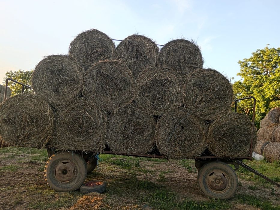 Vând trailer de baloți!
