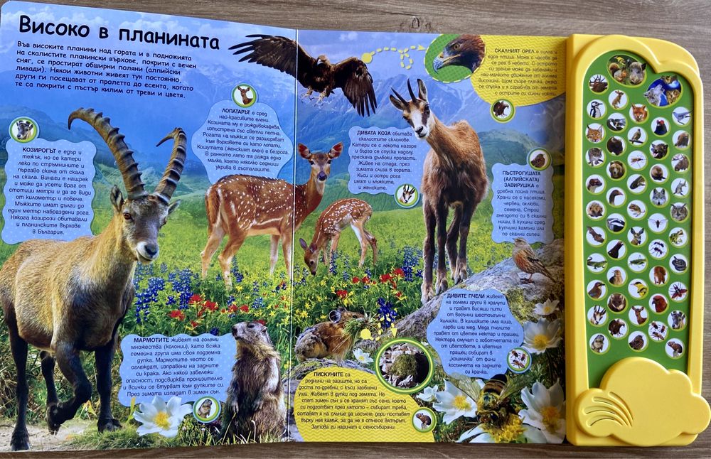 Музикални книжки - 50звука ЗА фермата , гората , приказки