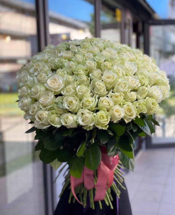 Голландские Пионы Розы