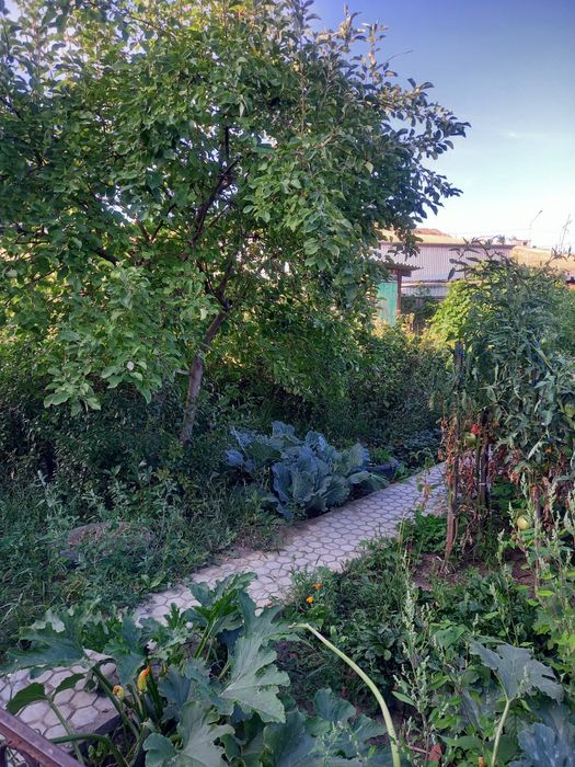 Продам кирпичный дом