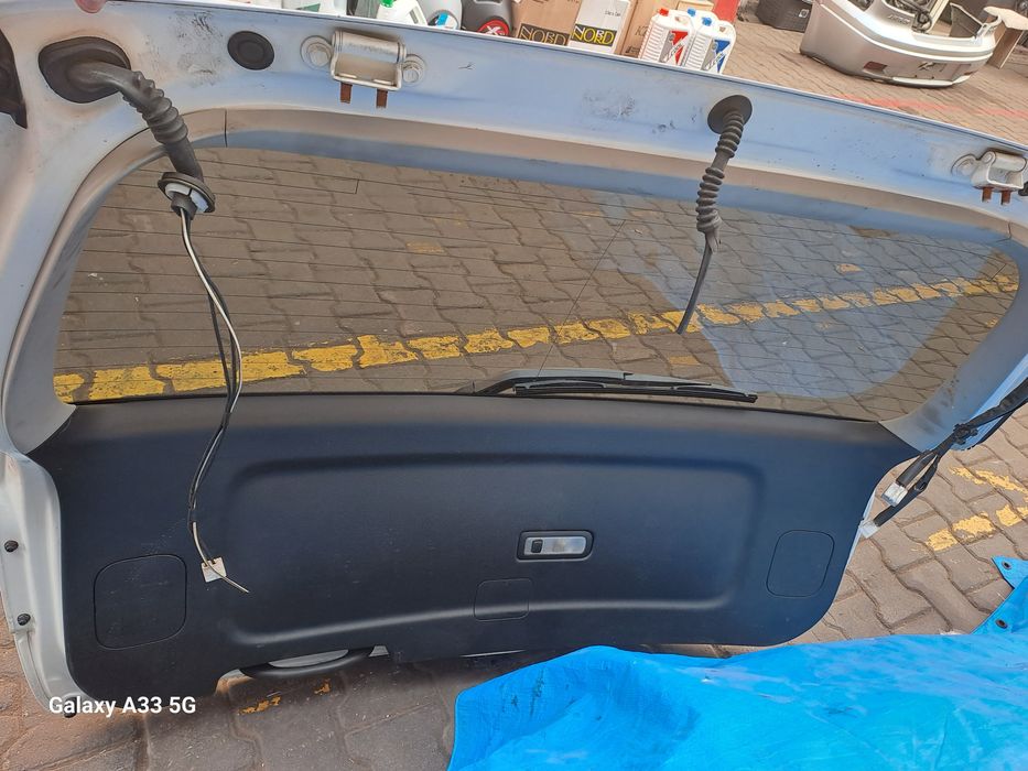 Ноускат для Ипсум