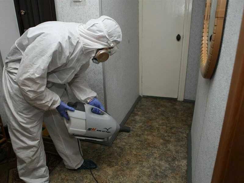 Дезинфекция Dezinfeksiya дезинсекция дератизация дезодарация