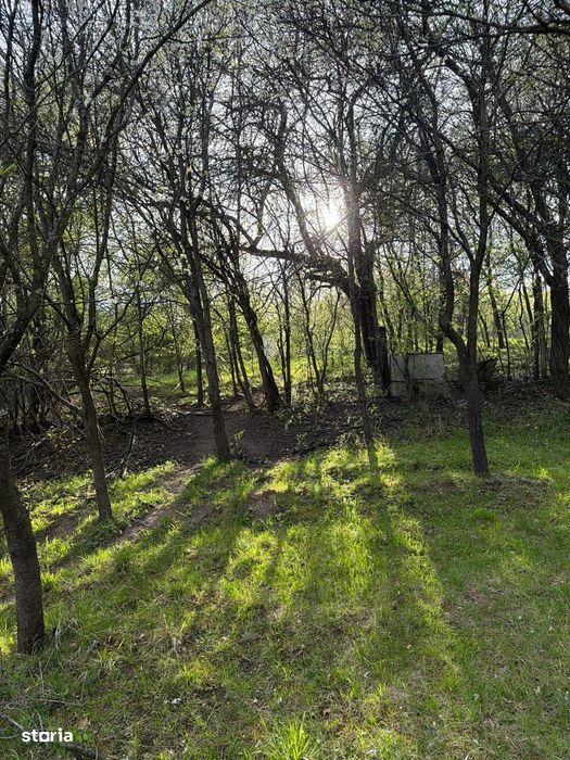 Teren de vânzare 1013mp în zonă urbană