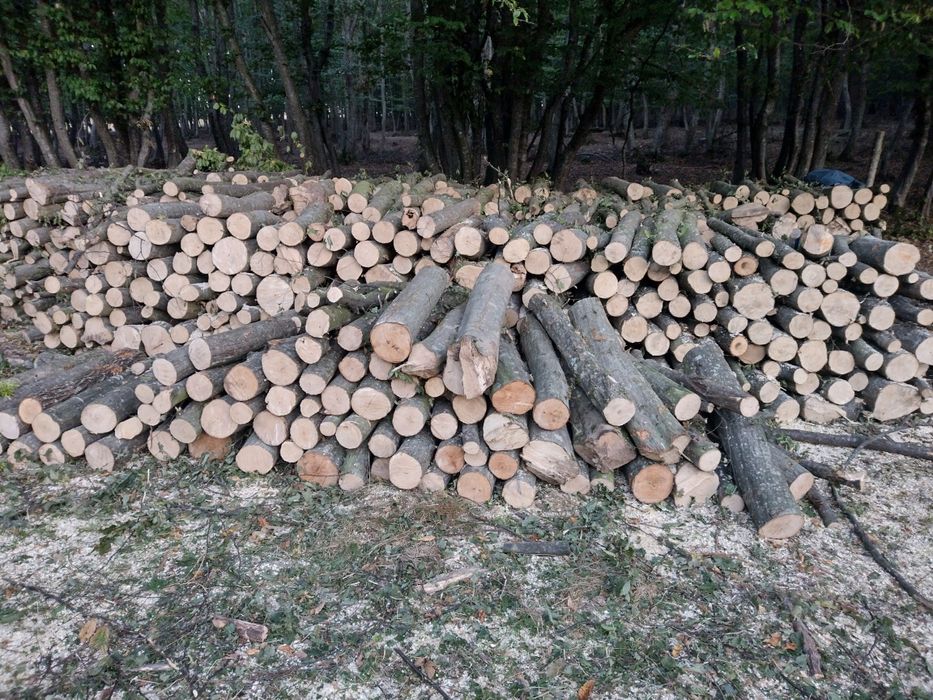 Lemne de foc esență