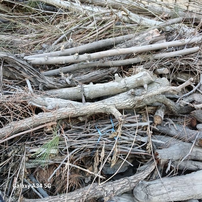 O'tin bor yangi og'irgina