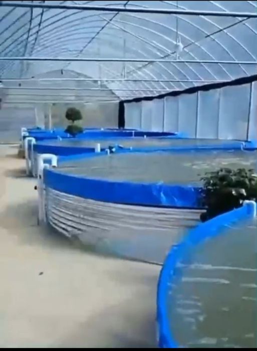 Бассейн для рыбы