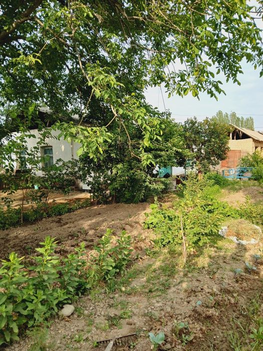 Уй сотилади 6 соток