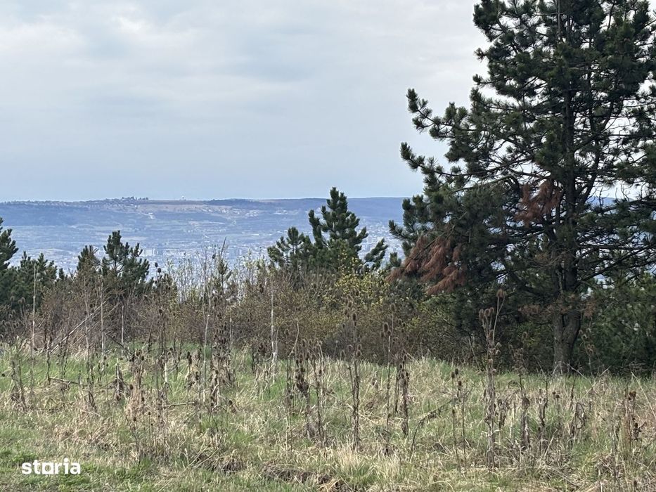 Teren Dealul Fanatelor-6 km Auchan