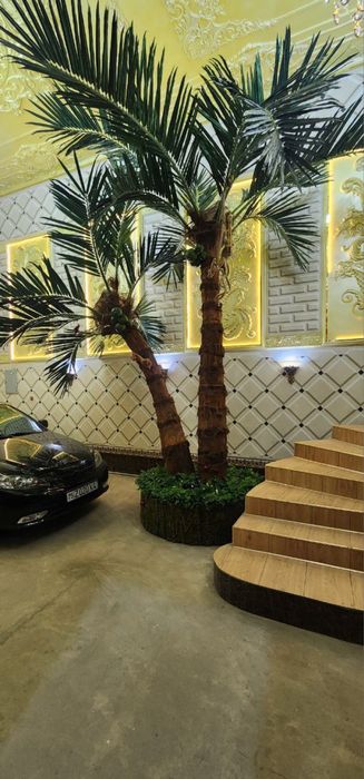 Toshkent | Premium sun’iy palma 3m–8m — tabiiydan farqi yo‘q! -30%