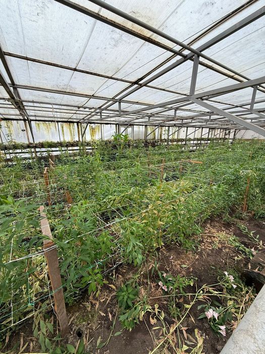 Комерческие помещения