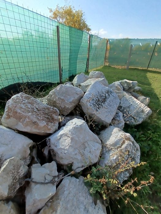 Piatra ornamentala grădină