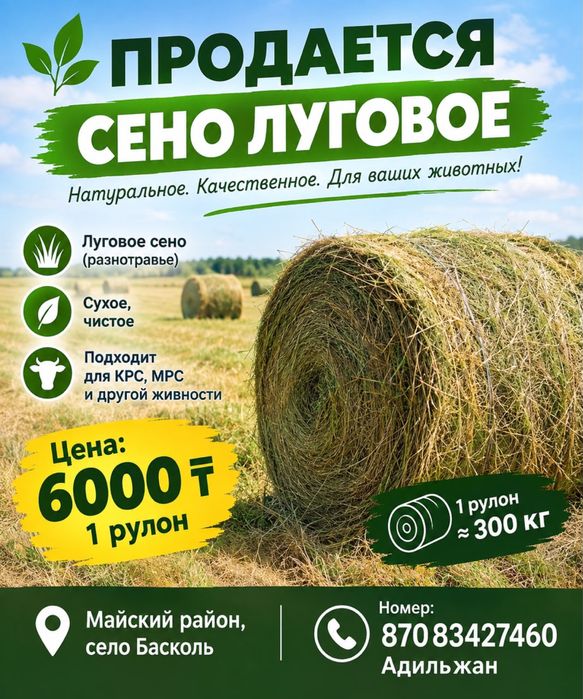 Продам сено луговое