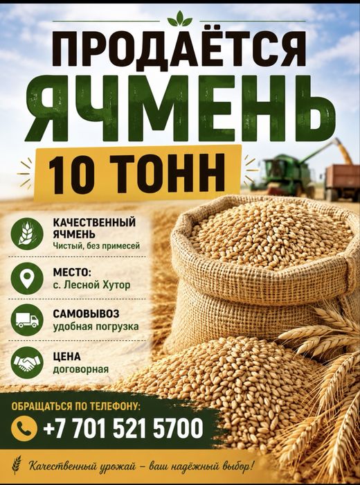 Продаётся Ячмень