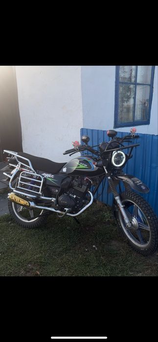 LTM 150 T17.