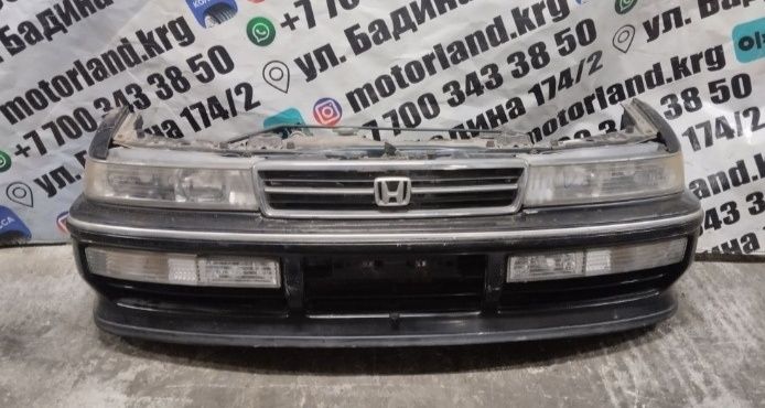 Ноускат Nosecut Honda accord vigor legend
