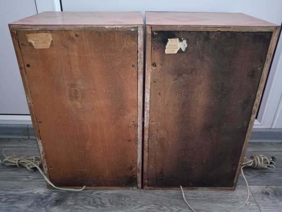 Колонки Вега 25 АС - 109