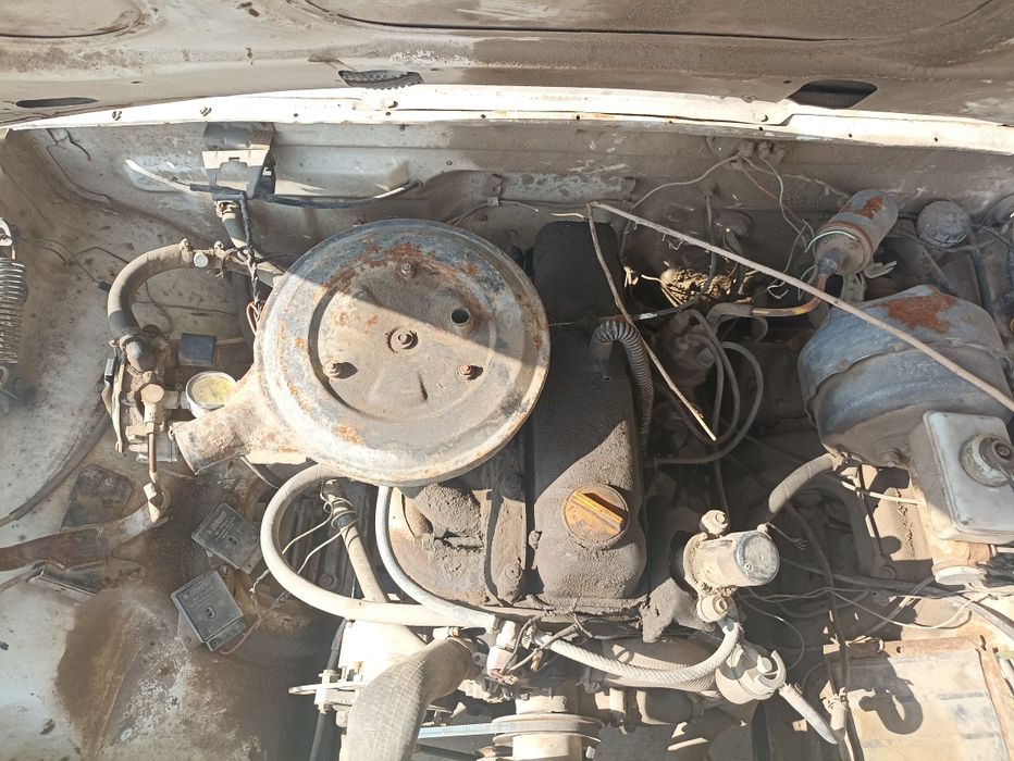 Volga 3110         .