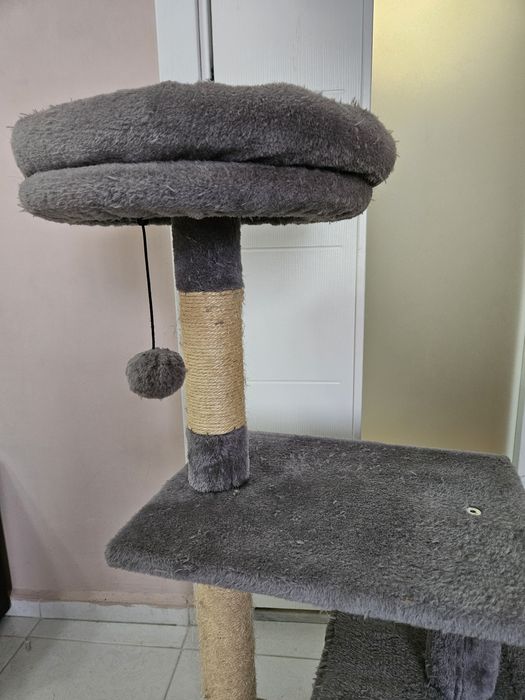 Котешка катерушка