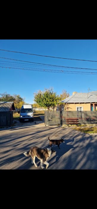 Vind casa scortaru nou in centru