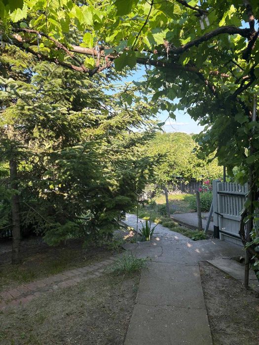 Casa traditionala in localitatea MÎNJEȘTI, la 10 km de Vaslui