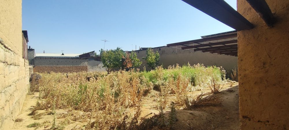 Ижарага ховли (уй)