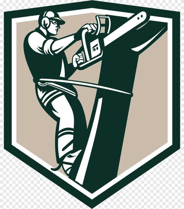 Почистване на дворове,рязане на дървета,косене на трева,услуги с багер