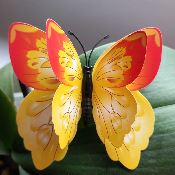 Гербери пеперуди  златна роза ефектна колекция