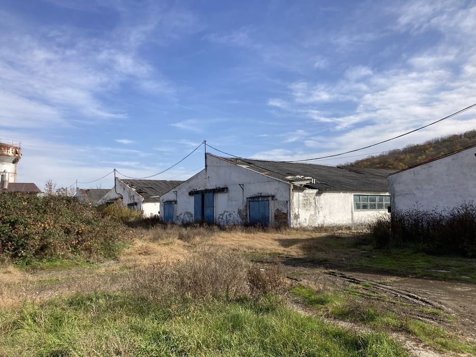 Vand ferma 3 hale saivane la nodul autostrazi A1 Dobra 7800m2