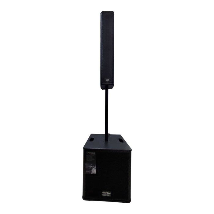 Boxa activa 12 inch DS-2002 MIC cu microfon Bluetooth sistem audio profesional puternic