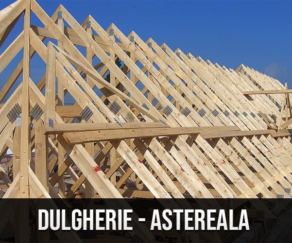 Țigla metalica acoperisuri reparații dulgherie etc.