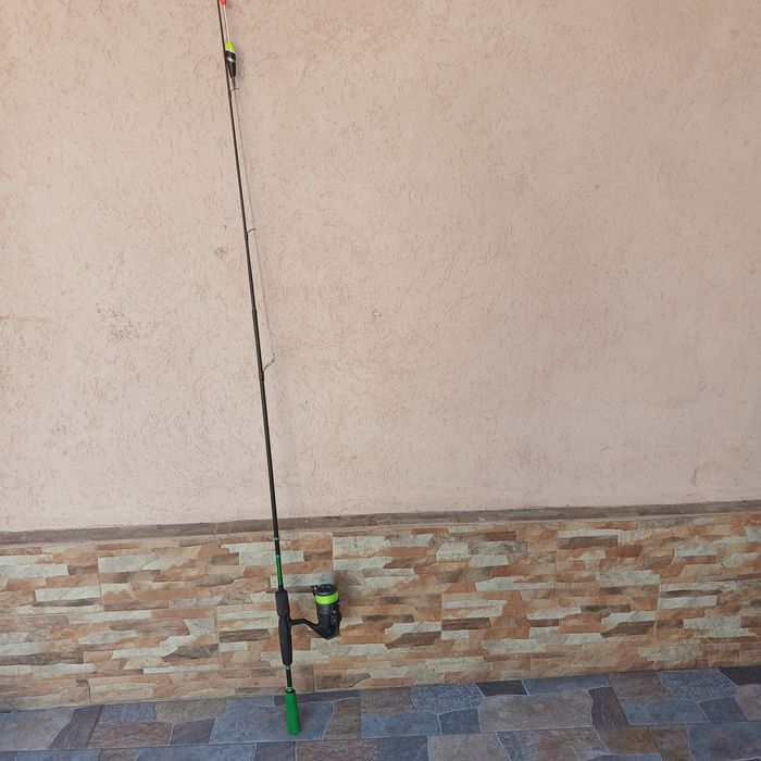 Unitata delfini wasabi